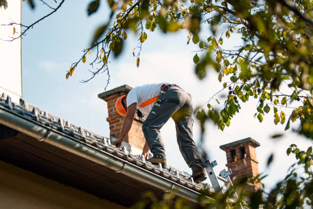Best Metal Roofing Contractor  in Elroy, WI