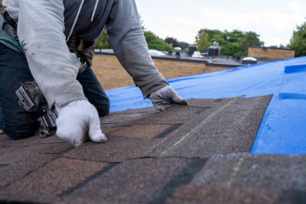 Best Storm Damage Roof Repair  in Elroy, WI